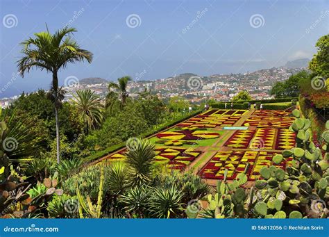 Famous Tropical Botanical Gardens In Funchal Stock Photo Image Of