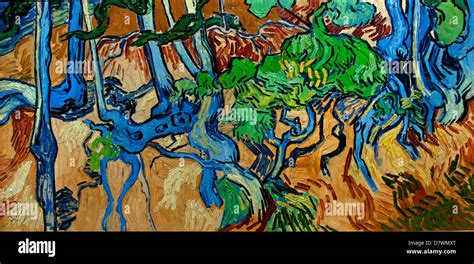 Tree Roots 1890 Vincent Van Gogh 1853 1890 Dutch Netherlands Post