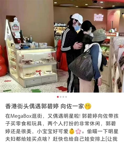 向佐丑闻后首同框郭碧婷 两人举动亲密无异样 辣手网