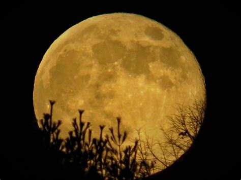 When Is The December Full Moon Last One Of 2024 Will Be At Major Lunar