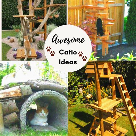 30 Diy Catio Ideas That Are Totally Pawsome Cat Playground Outdoor