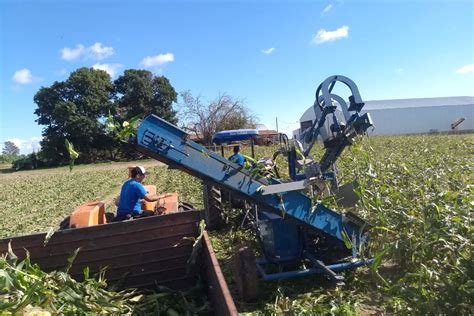 Fragar Lanza En Agroactiva La Nueva Cosechadora De Ma Z Dulce Maquinac