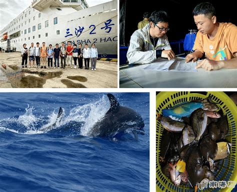 南海所圆满完成西沙群岛航次调查任务 南海水产研究所