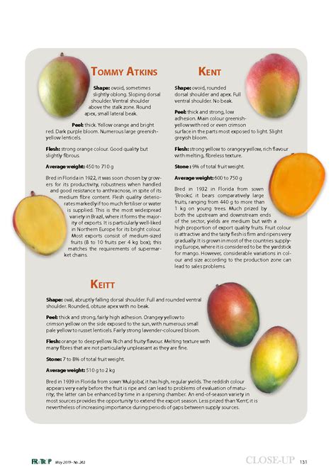 Main mango varieties