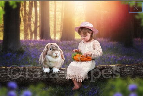 Easter Bunny In Bluebell Forest On Log White Rabbit In Creamy Forest