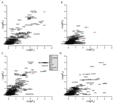 Promoter Analysis Of Hypoxia Related Gene Signatures Obtained From