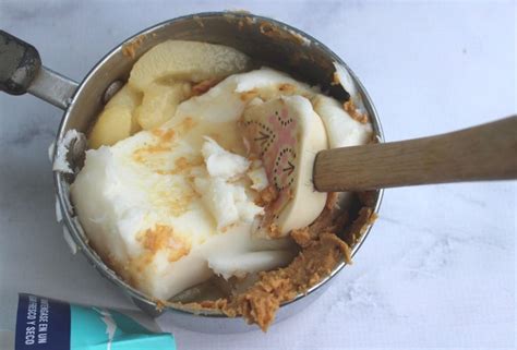 Peanut Butter Pear Bird Suet Cakes Little Sprouts Learning