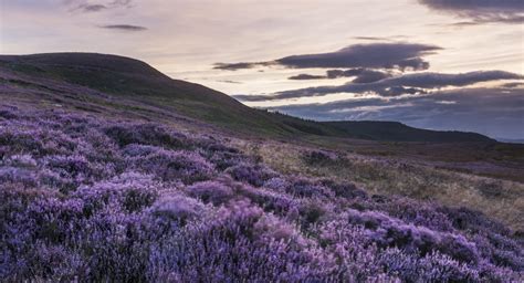 Northumberland National Park • Now & Forever