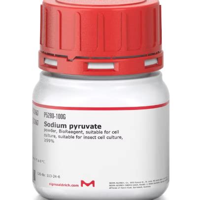 Sodium Pyruvate Powder BioReagent Suitable For Cell Culture Suitable