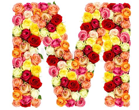 M Roses Flower Alphabet Isolated On White Stock Image Colourbox