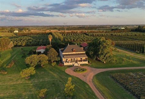 Best Wineries In Uruguay To Visit In Winetourism