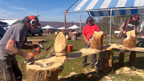 Hooskow Clinton County Chainsaw Carving Competition