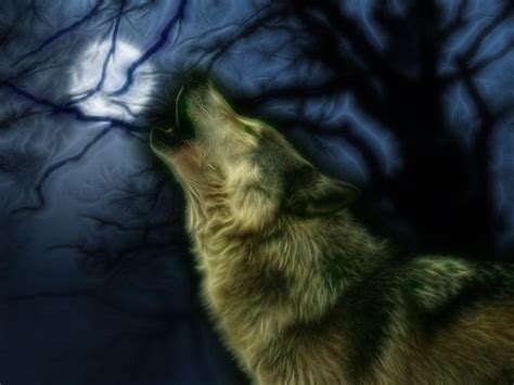 Howling wolf - Wolves Photo (36868477) - Fanpop