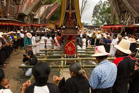 Toraja Culture : Aluk To Dolo