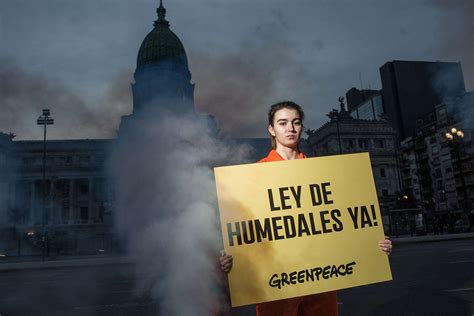 Greenpeace Argentina Greenpeace Los Humedales Tienen La Mejor