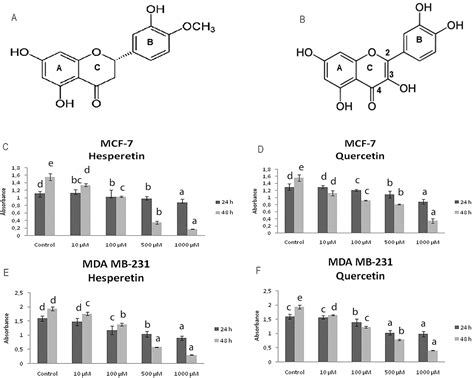 Effect Of Static Magnetic Field With Quercetin And Hesperetin On MCF 7