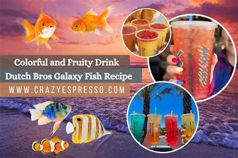 Dutch Bros Galaxy Fish Recipe Colorful And Fruity Drink