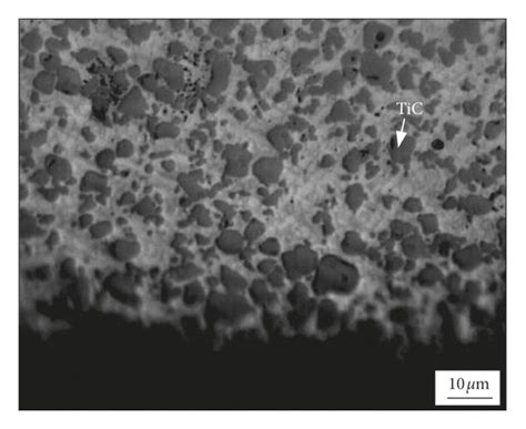 Microstructure Of Cross Section Of The Coatings After LC Process A