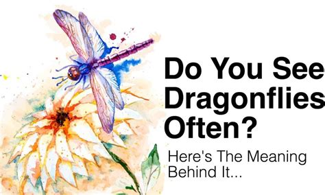 Do You See Dragonflies Often? This Is What It Means... | Dragonfly ...