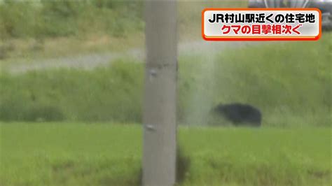 住宅地などでクマ目撃相次ぐ、駆除 山形（2021年6月23日掲載）｜日テレnews Nnn