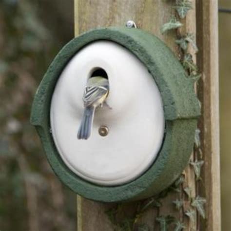 Tuingerei Nestkast Groen Houtbeton32 Mm Van Tuinadvies Vogelhuisjes