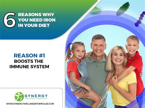 6 Reasons Why You Need Iron In Your Diet - Synergy Wellness Formulas