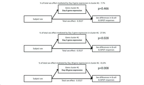 Mediation Analysis Indicates That The Sex Effect On B Cell Elispot Download Scientific