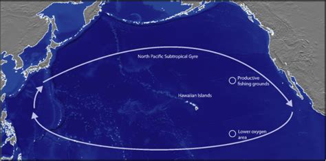 NOAA Scientists to Survey Remote Area in the North Pacific Subtropical ...