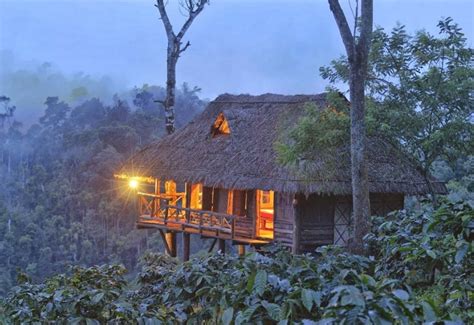 Wayanad Wayanad Homestay Holiday Homes In Wayanad