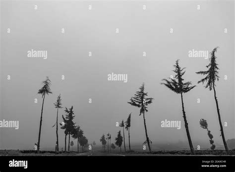 Variety Of The Images Stock Photo Alamy