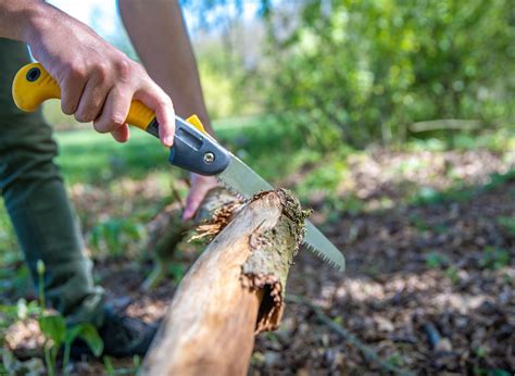 7 Best Hand Saws For Cutting Trees Plants Heaven