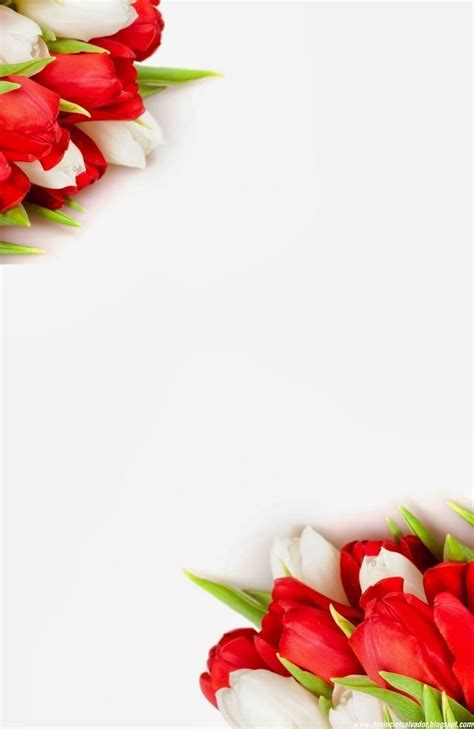 Pin By Samina Naz On Photo Frames Flower Background