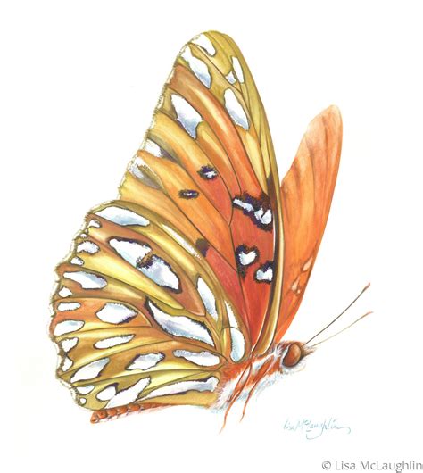 Painting Gulf Fritillary Butterfly In Flight Original Art By Lisa