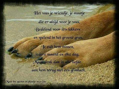 Kaart Overlijden Hond Kaart