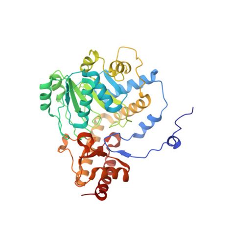 Gene P Protein Agxt Overview Cansar Ai