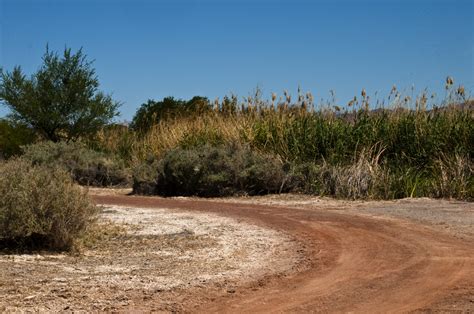 Caminho Do Deserto Foto Stock Gratuita Public Domain Pictures