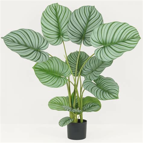 Plante Verte Calathea Artificiel 100cm