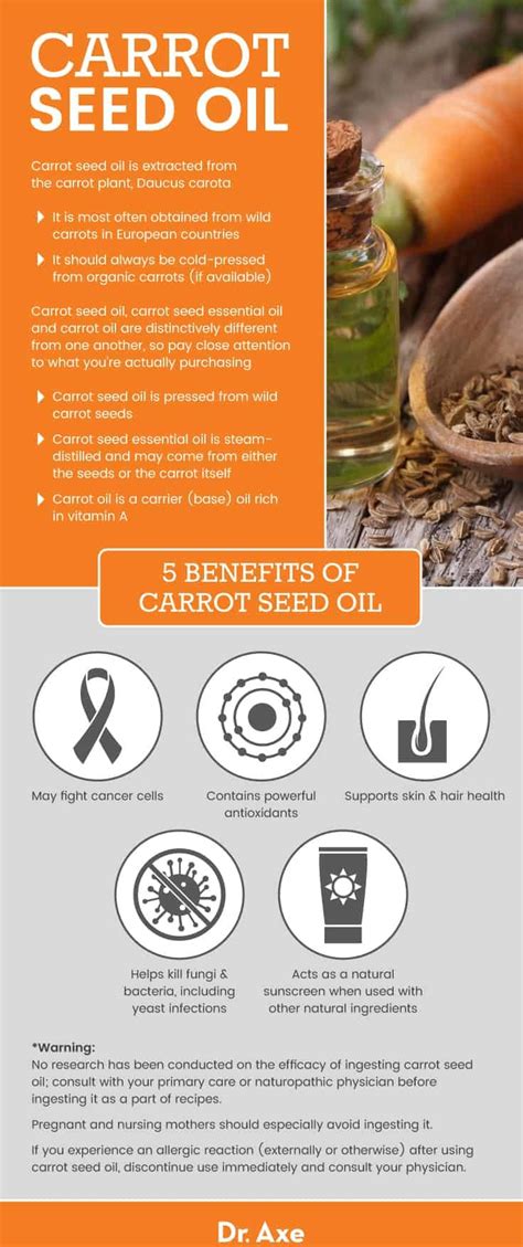 Carrot Seed Oil Benefits And Uses Dr Axe