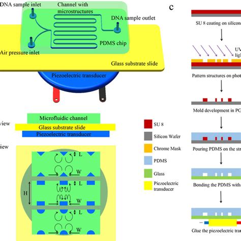 Design And Fabrication Of A Microfluidic Chip Featuring Microstructure