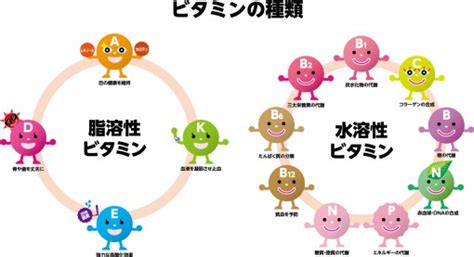 ビタミンの種類別効果一覧と摂取方法｜アンチエイジングの強い味方、ビタミンの全て