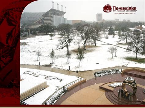 17 Best images about Texas A and M Campus. Buildings on Pinterest ...