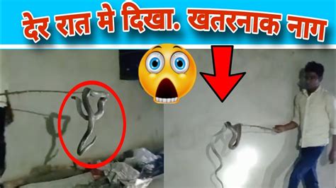 देर रात मे दिखा खतरनाक नाग 😳 Cobrasnakerescue Youtube