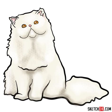 How To Draw The Persian Cat Persian Cat Drawing Cat Drawing Persian