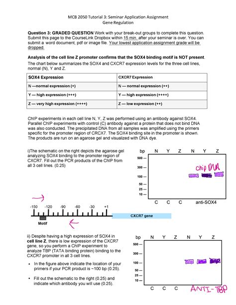 Tutorial 1 Seminar Assignment With Answers MCB 2050 Tutorial 3