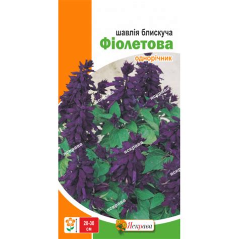 Шалфей блестящий Фиолетовый 0.2 г - купить с доставкой по Украине, цена ...