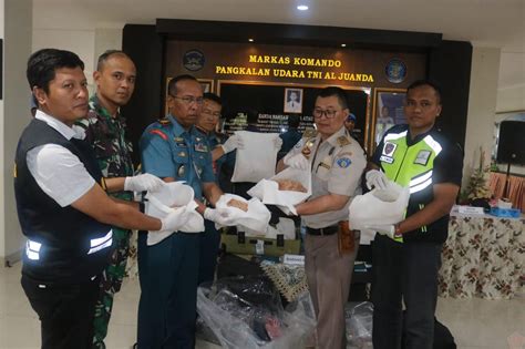 TNI AL Kembali Berhasil Gagalkan Pengiriman Benih Bening Lobster Ke