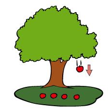 perhatikan gambar berikut buah apel  ja