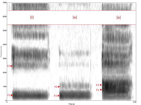 Spectrograms Introduction To Sensation And Perception