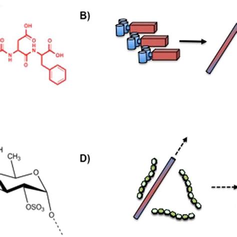 Peptide Self Assembly A Structure Of Fmoc FRGDF B Schematic Of