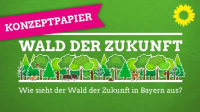 Konzeptpapier Wald Der Zukunft Barbara Fuchs